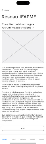 Capture d'écran du wireframe